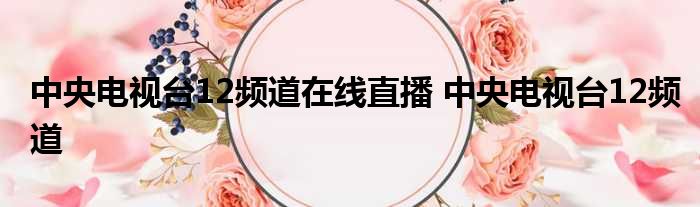 中央电视台12频道在线直播 中央电视台12频道