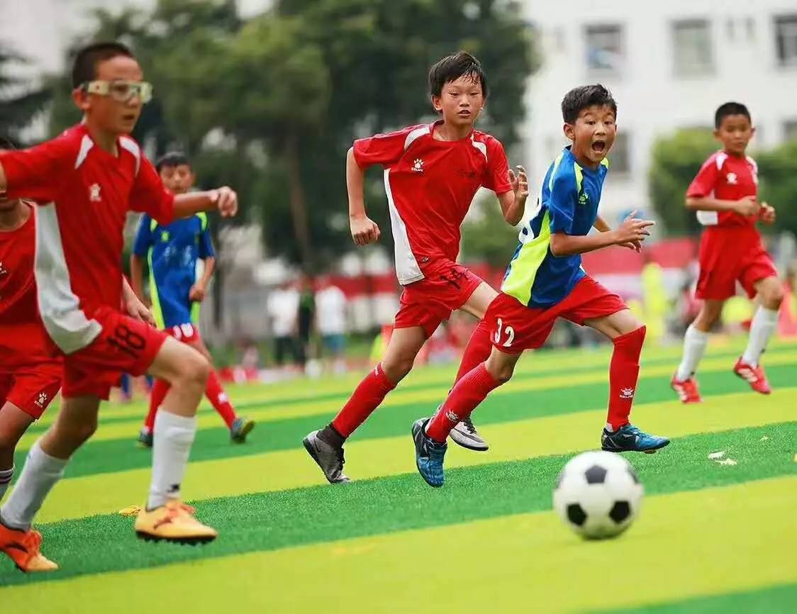 什么时候决定在北京开冬奥会，北京申办冬奥会成功的历程  什么时间在北京