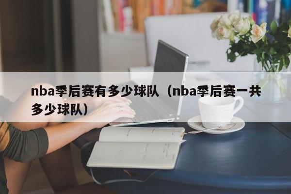 nba季后赛有多少球队（nba季后赛一共多少球队）