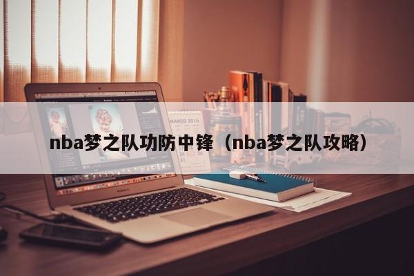 nba梦之队功防中锋（nba梦之队攻略）