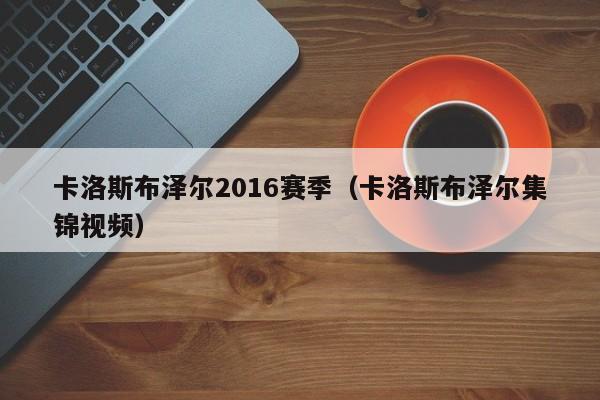 卡洛斯布泽尔2016赛季（卡洛斯布泽尔集锦视频）